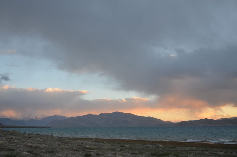 DSC_5646_edited (Large)