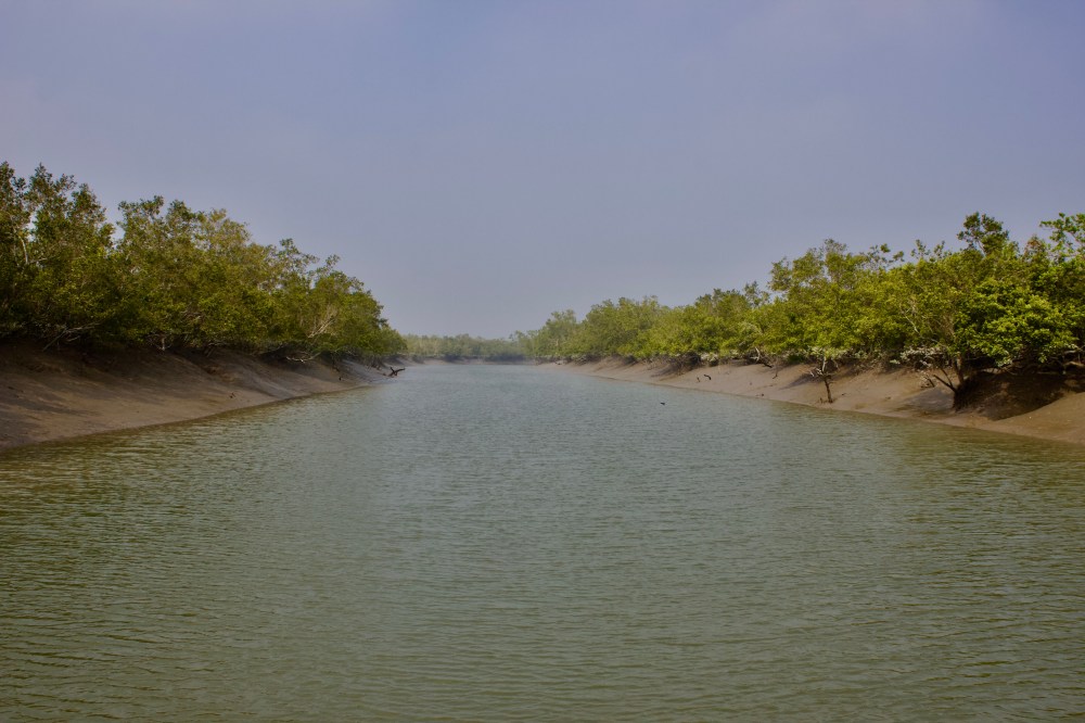 louisa süß - fullsizeoutput_a6c